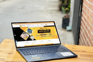 Asus Zenbook UX533FD I5 8265U/ RAM 8GB SSD 256GB/ GTX 1050/ FULL HD/ TRÀN VIỀN VÀNG GOLD/ GIÁ RẺ